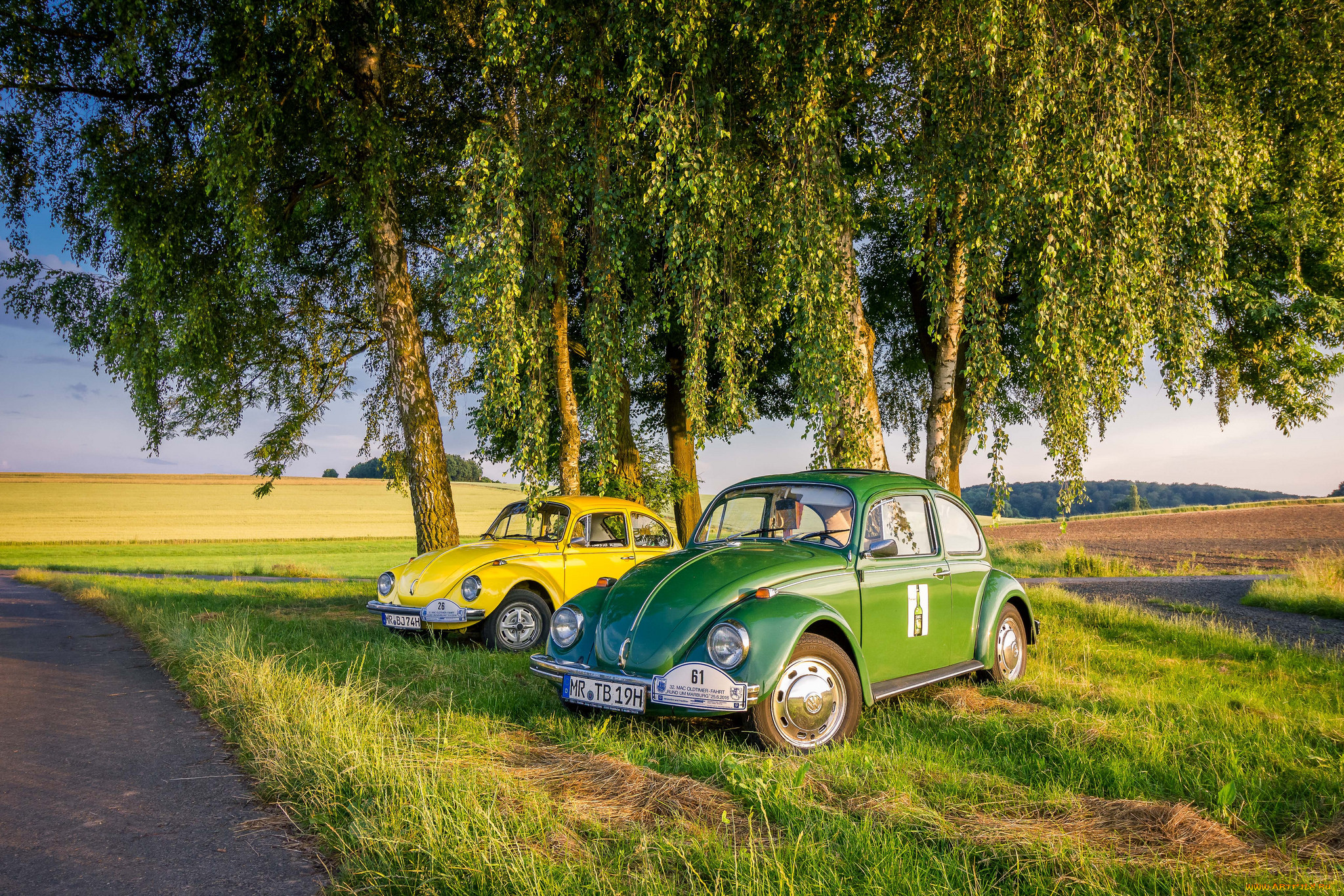 , volkswagen, 